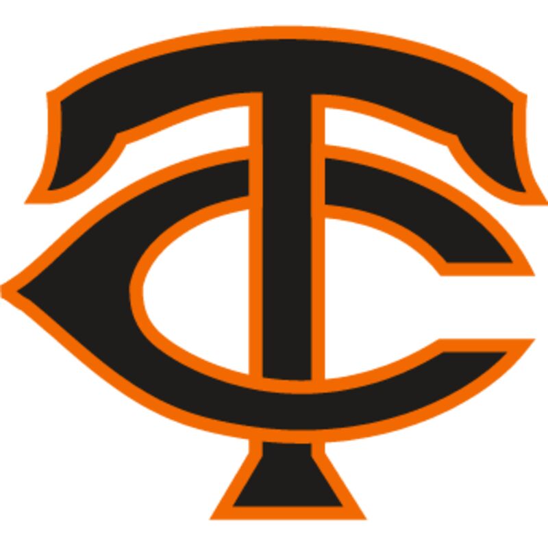 Baseball TC 2 Thumbnail