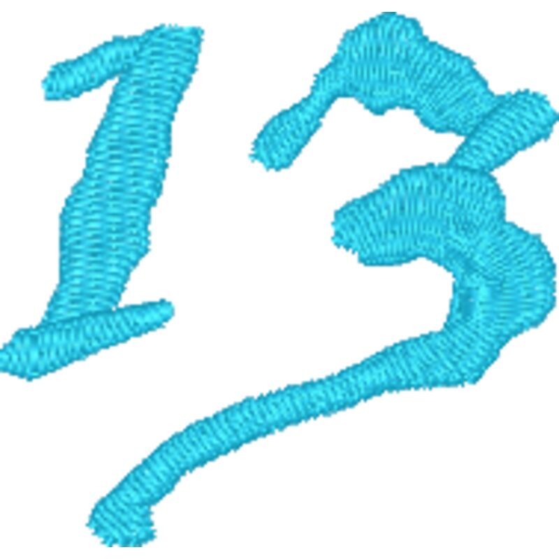 Number 13 Thumbnail